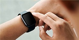 EPT電池品質高，鎳氫和鋰電都表現不俗